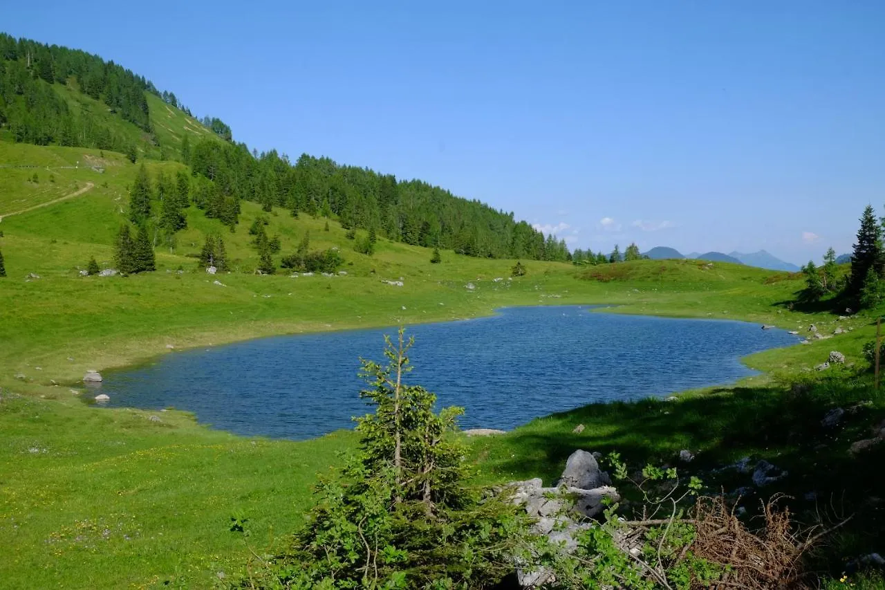 Casa Della Rosa Dolomites Experience Hotel Vigo di Cadore